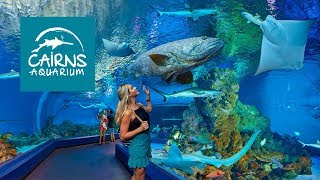 Cairns Aquarium is Australia’s newest and most spectacular aquarium.