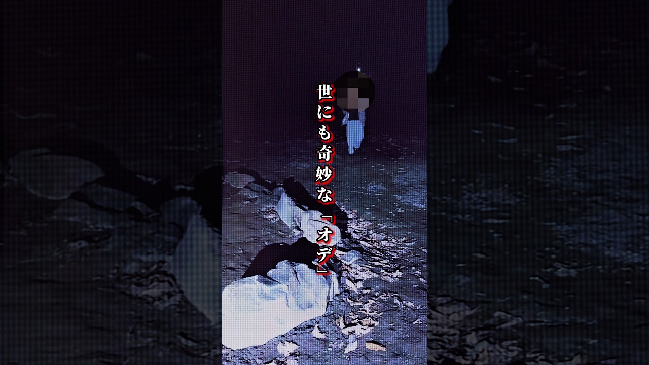 【山ちゃん切り抜き】心霊 なまもの井戸に突然ヤバい何かが走ってきて… ヒトコワ #shorts @yamachan-sekai