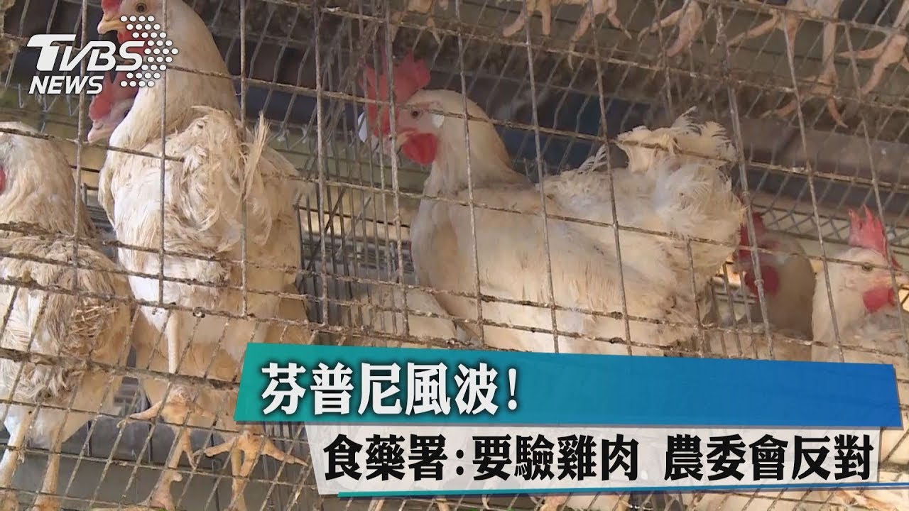 芬普尼風波!食藥署要驗雞肉 農委會反對