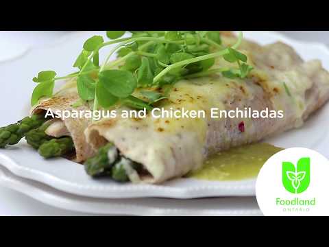 download lagu mp3 mp4 Chicken Asparagus Enchiladas, download lagu Chicken Asparagus Enchiladas gratis, unduh video klip Chicken Asparagus Enchiladas