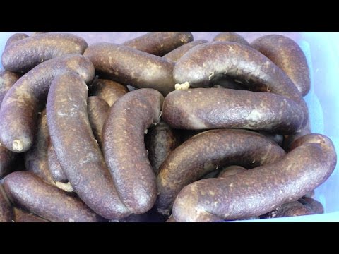 Praktyka u Praktyka - Kaszanka