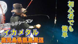 【夜焚きイカメタル】初心者でも簡単に釣れる美味しいケンサキイカ!