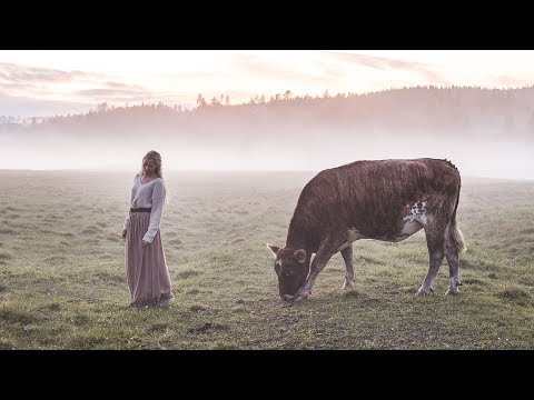 A farewell song for my cow - Ancient Swedish Herdingcall