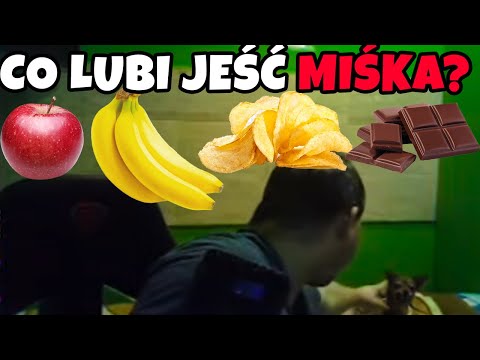 DAWID JASPER - CO LUBI JEŚĆ MIŚKA