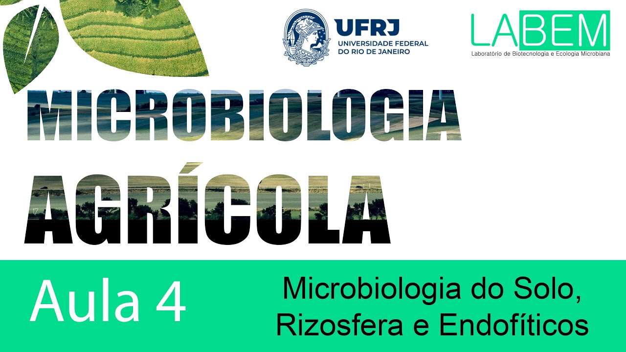 Aula 04 - Microbiologia do Solo, Rizosfera e Endofíticos - Profa. Isabella Dal'Rio