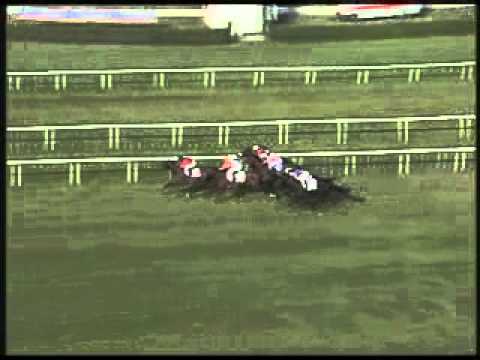 Premio Del Piazzale 2011 (GR3)