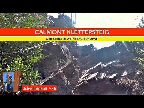 Am steilsten Weinberg Europas, der Calmont Klettersteig. Toller Höhenweg mit Aussicht auf die Mosel.