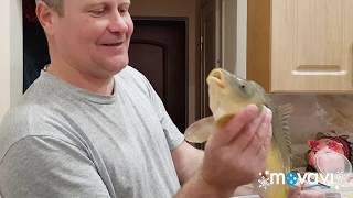 Ссылка