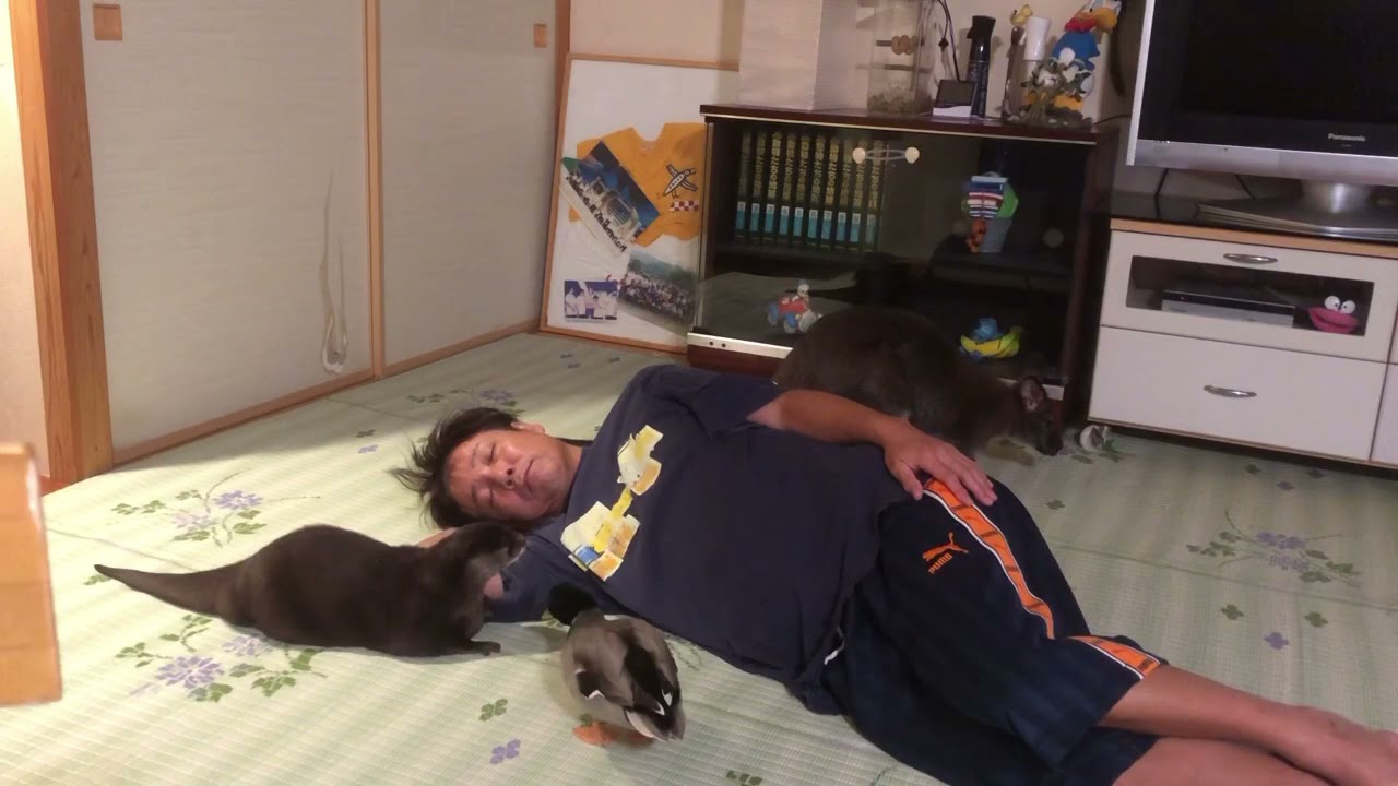 @りゅうスケッチ お父ちゃん大丈夫( ｡• - •｡｀)