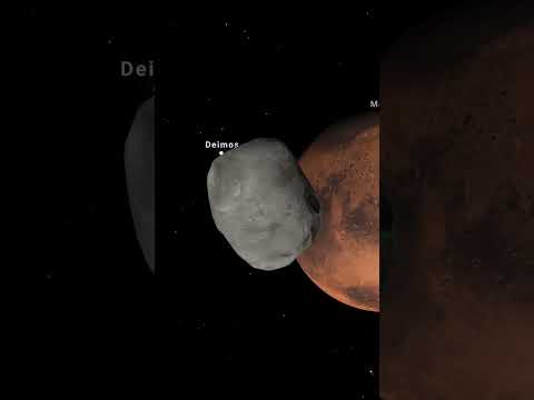 Rotation of Phobos