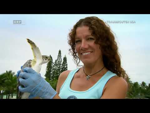 [Neu] Themenmontag: Die Ostküste der USA Sonnenstaat Florida | 17.07.2017/ORF İ