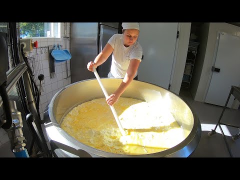 GÖR OST MED MEJERISTA - SÅ YSTAR MAN OSTKAKA HANTVERKSMÄSSIGT PÅ ETT GÅRDSMEJERI I HÄLSINGLAND