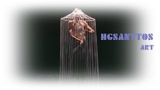 RENÉE FLEMING - CASTA DIVA