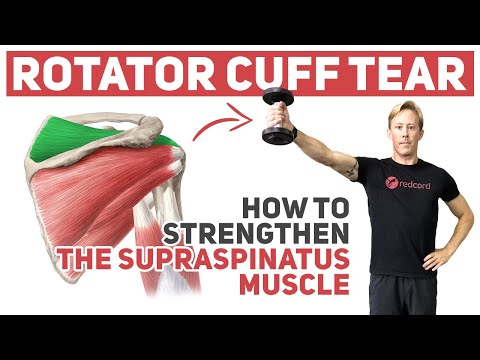 Rotator Cuff Tear (How to Strengthen Supraspinatus)