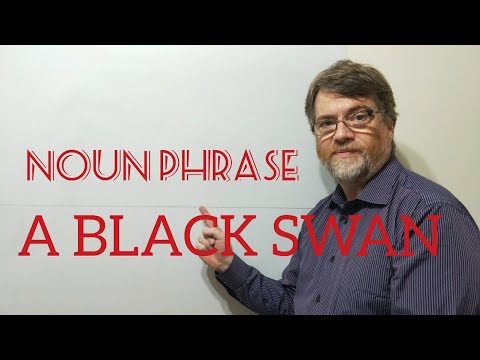 英語教師ニックP 名詞句 (162) ブラックスワンまたはブラックスワンイベント - 由来 (English Tutor Nick P Noun Phrase  (162) Black Swan or Black Swan Event  - Origin)
