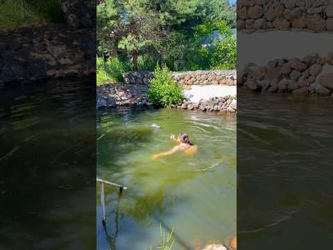 Прыгнула в пруд с крокодилом..😱🐊🚑