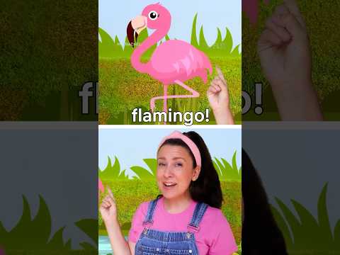 Stand like a flamingo with Ms. Rachel, now playing on Netflix! 🦩