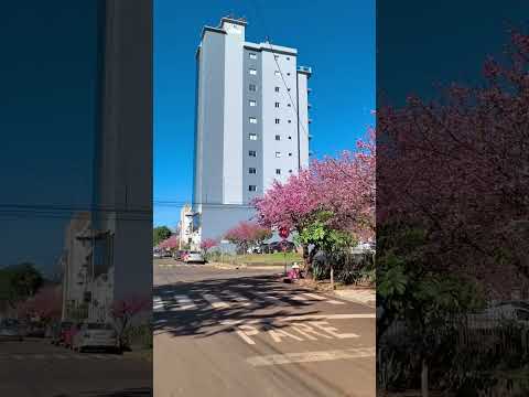 Três de Maio Terra das Cerejeiras / Cancioneiro do Noroeste Gaúcho 