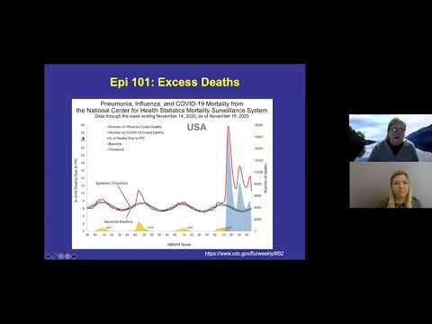 Excess Deaths (11/30/2020)