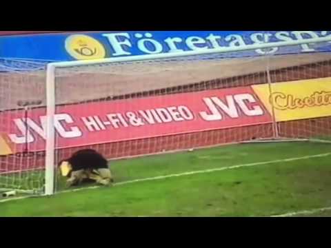 Best saves of Isaksson in Djurgården