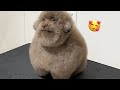 Ｒｏｕｎｄ　Ｂｏｉ