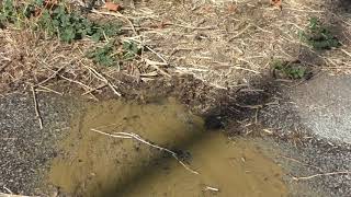 condotte-colabrodo-ad-ariano-nuovo-guasto