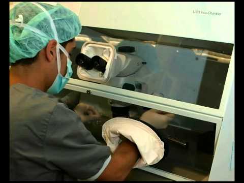 Как делают эко женщинам сам процесс. Процесс эко видео как делают. Эко процедура. Экстракорпоральное оплодотворение видео. Пункция фолликулов яичника.