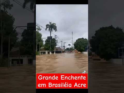 Brasiléia Acre pede Socorro 😔 Grande Enchente #brasil #brasiléia #acre #jesus #missão #viral