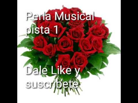 Perla Musical pista 1