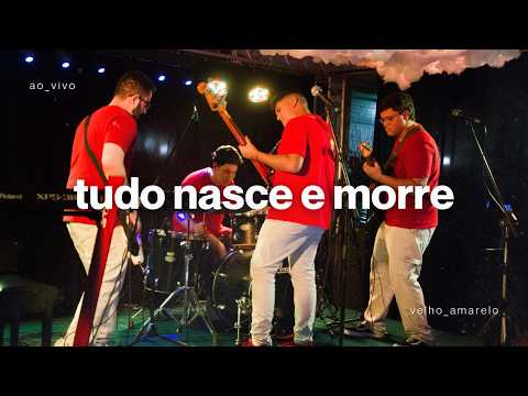 Tudo Nasce E Morre - Velho Amarelo