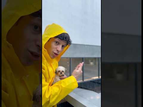 Mansão Milionária À PROVA DE CHUVA para o meu Shih Tzu! 🌧️🏰🐶