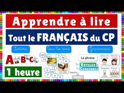 Learn french : all french first grade courses