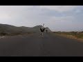 Cyclists chased by an ostrich. The funniest thing you'll see today