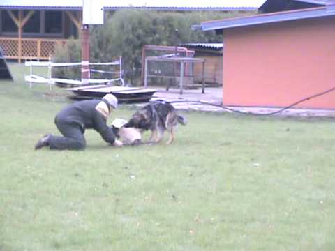 Jabina Guss - obrona2