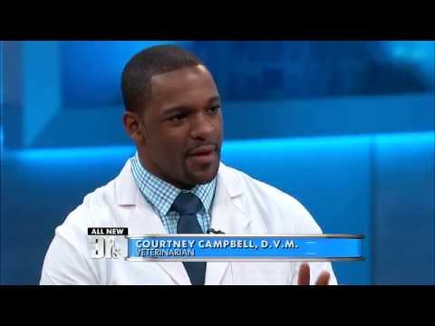 Peanut Butter Toxic to Dogs! And Cats?? Courtney Campbell - Veterinarian