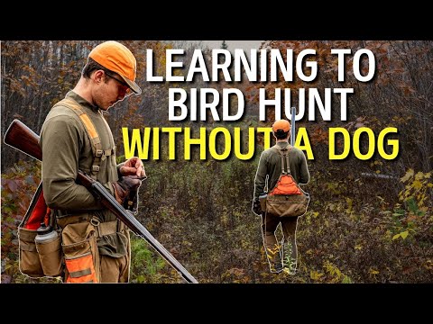Hunting Without Dogs: Is It Worth It?