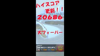【マリオカートツアー】【2万点台到達動画】ウィンターツアー　DKカップ　DKスノーマウンテン #20686