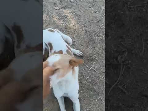 Vídeo de PAULA