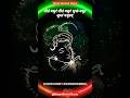 Madhurashtakam Lyrics Krishna Status Video God Kanha Youtubeshorts Shortvideo Krishna Shorts