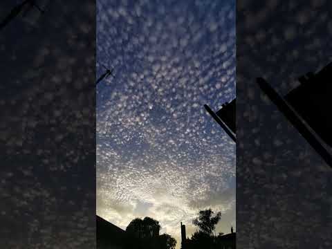 Desde Buenaventura Holguín Cuba 🇨🇺 🤩