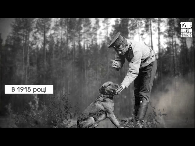 Фото Монтую відео, створюю титри, заставки, анімацію
Працюю в Adobe Premiere Pro, знаю Edius Pro, Sony Vegas Pro. Монтую як новинні сюжети для телеканалів так і відеокліпи. Мою гарну ліцензійну бібліотеку звуків, музики, відеопереходів та ефектів. При необхідності сам знімаю відео (є чудовий комплект відео,аудіо апаратури.