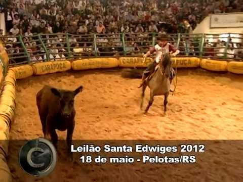 Remate Santa Edwiges 2012