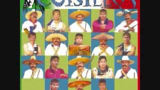 VUELA PALOMA - BANDA CUISILLOS