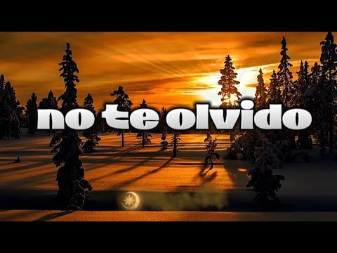 Lefty SM x edwin luna y la trakalosa de Monterrey - no te olvido (letra)