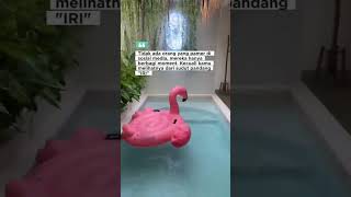 Download lagu tak boleh iri ya dek ya #storytime #storywa #story #shortvideo mp3 Download lagu tak boleh iri ya dek ya #storytime #storywa #story #shortvideo mp3