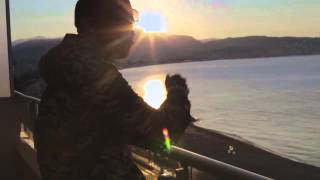 Daddy Yankee - Switchea (Official Video) [HD]