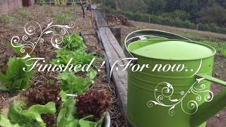How to Build a Natural Eco Pond Permaculture Paradise