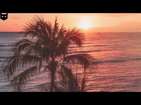 [FREE] Larry June x Dom Kennedy Type Beat - "Life's Amazing"