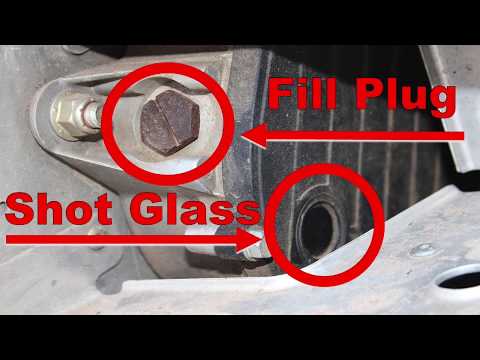How To Change Chaincase Oil on Polaris RMK 900 Snowmobile