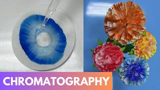 CHROMATOGRAPHY FLOWER | Capillary Action | Science Experiment & Project